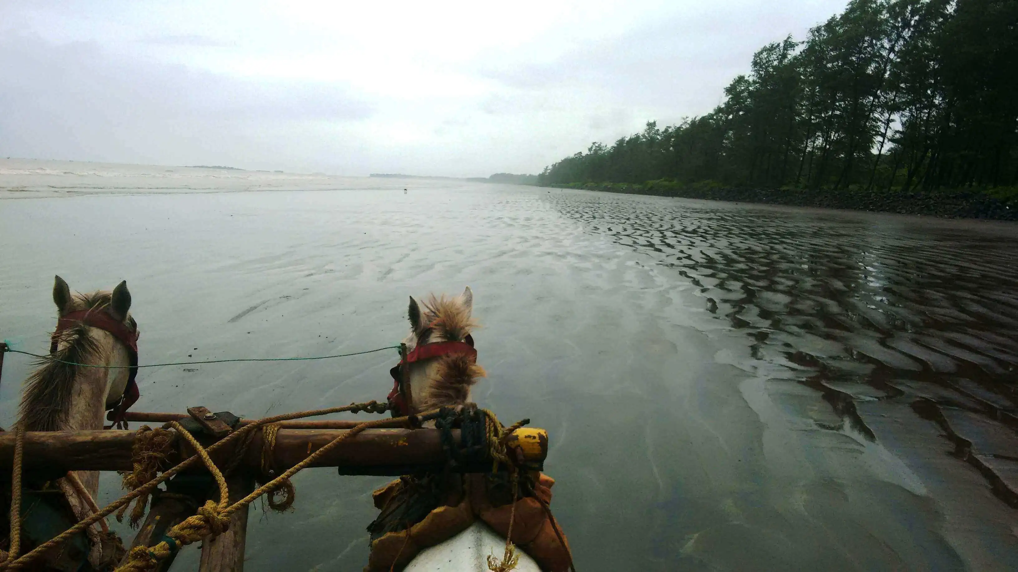 nagaon beach near alibag